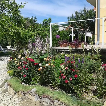Maison d'hôtes Rozsa