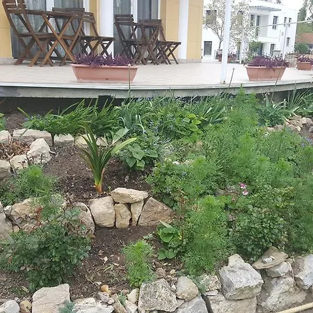 Rozsa Guest house Balatonfured